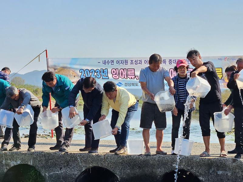 고령군 내수면 어자원 회복을 위한 잉어류, 동자개 방류 3