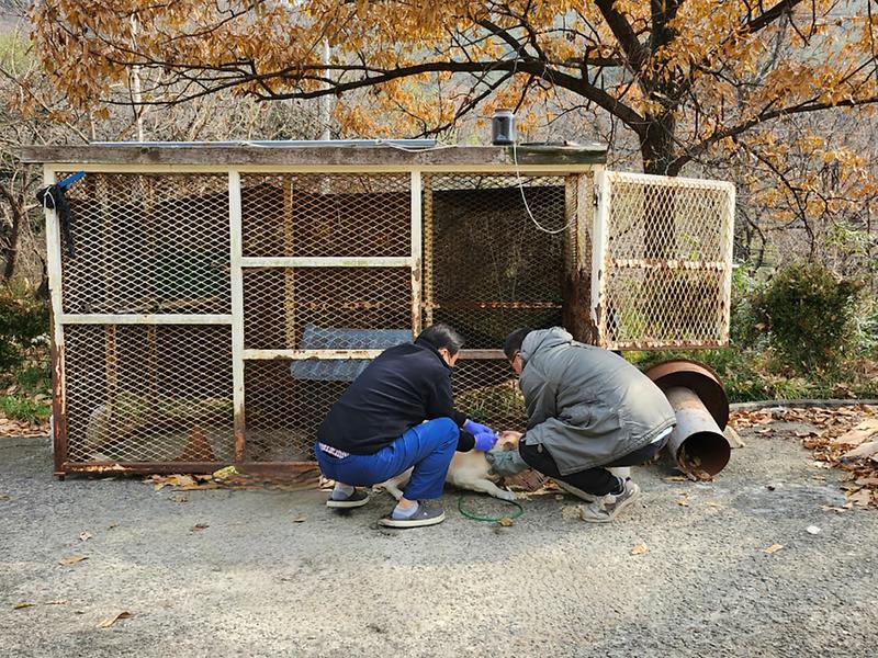 찾아가는 마당개 동물등록 서비스 실시 3