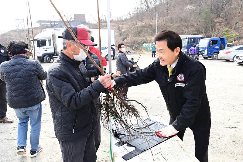 고령군, “반려나무 나누어주기” 행사 실시 3