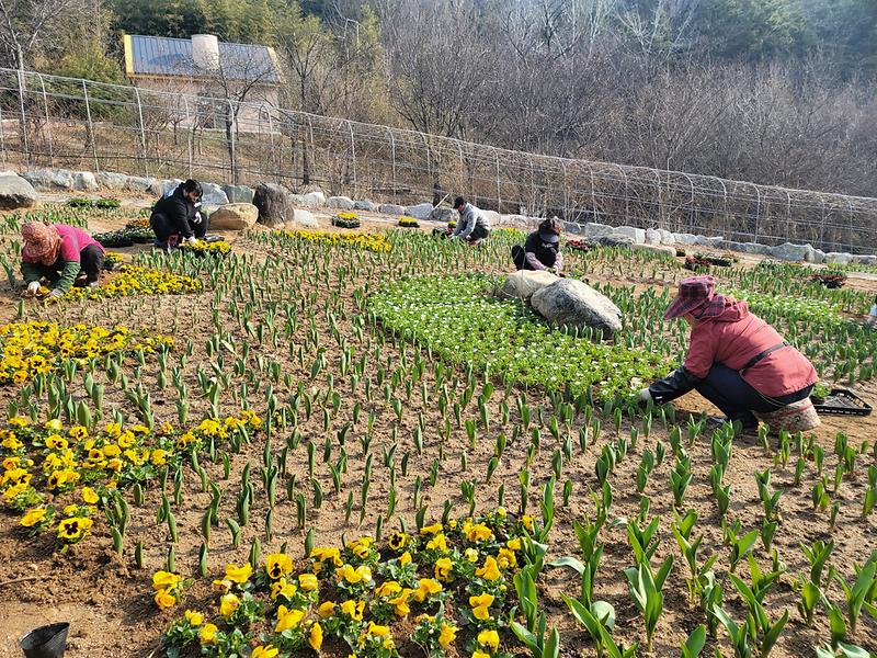 대가야축제 맞이 관광지 새단장 실시 1