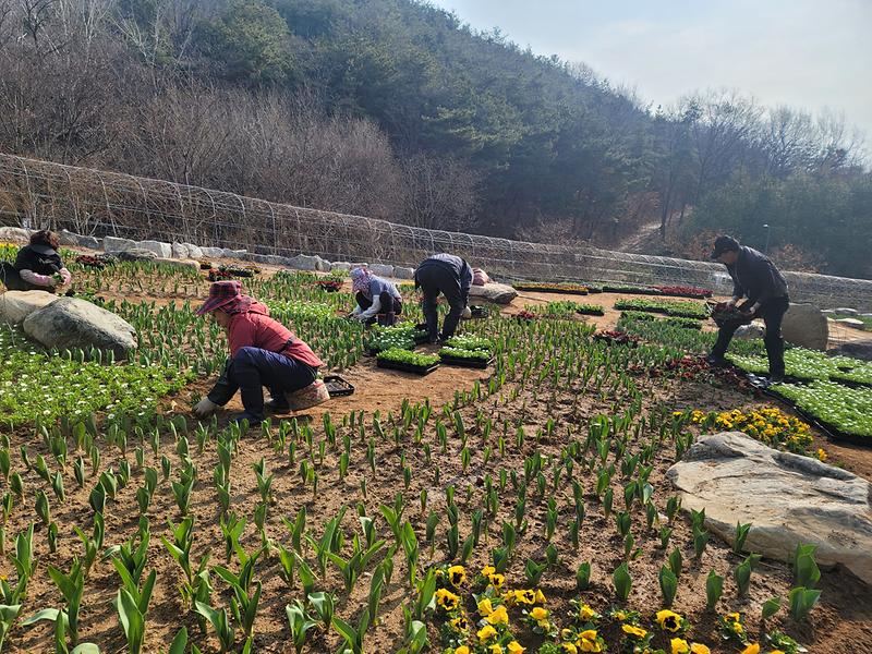 대가야축제 맞이 관광지 새단장 실시 2