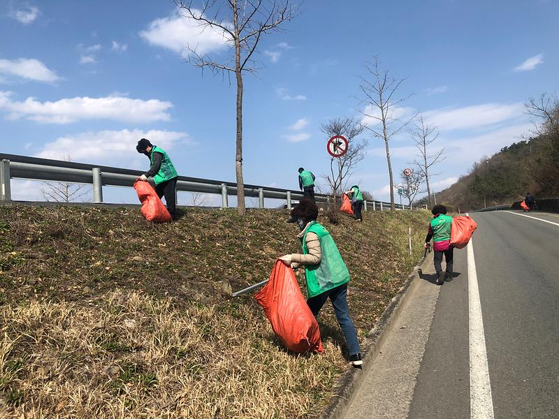 성산면 이장협의회·새마을회·체육회 ·자연보호 협의회·직원, 대가야축제 맞이 환경정화 활동 실시!! 2