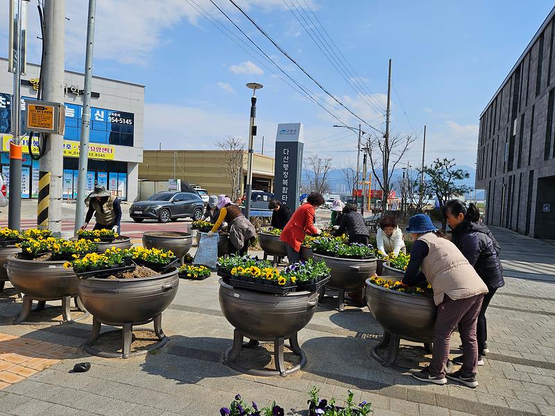 다산면, 새봄맞이 도로변 화분 꽃 식재 1