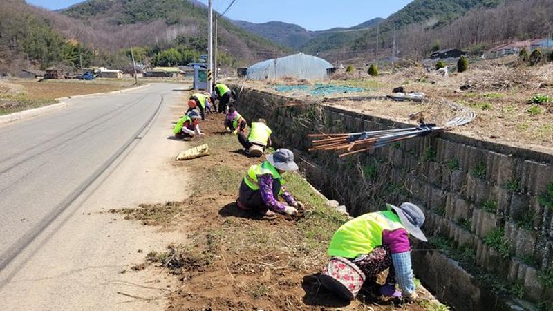 운수면, 노인일자리 마을 꽃길 조성 2