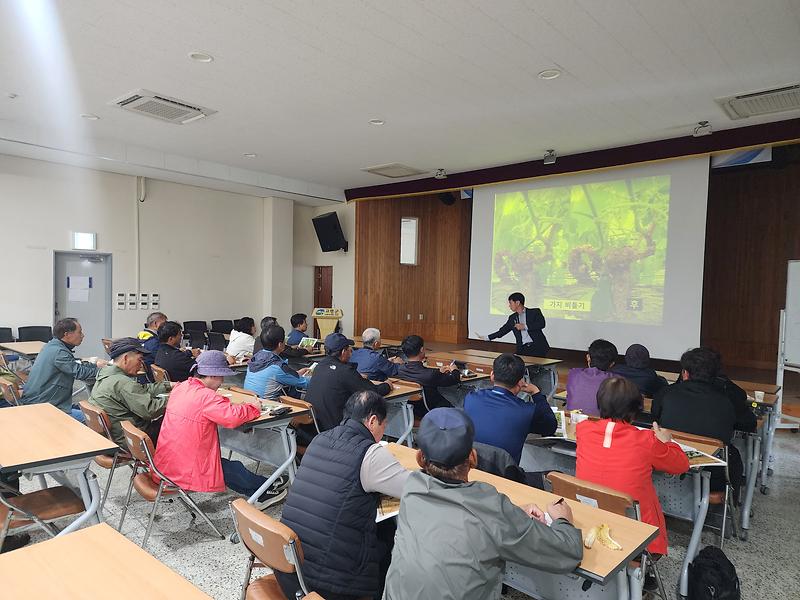 고령군 고품질 샤인머스켓 교육 실시 2회차 1