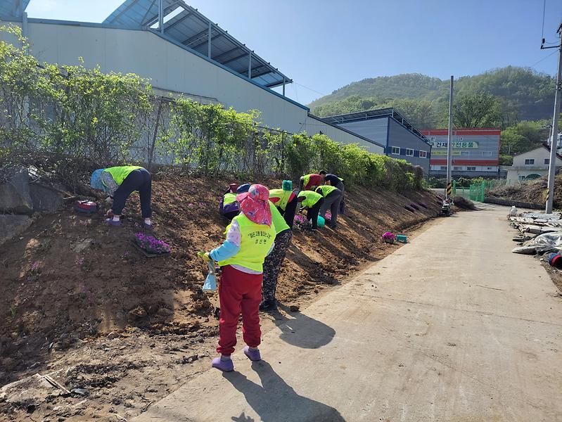 성산면, 깨끗한 농촌만들기 농로 화단 조성 2