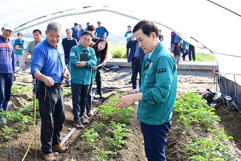 고령군, 농작물 고온피해 현장 점검 2